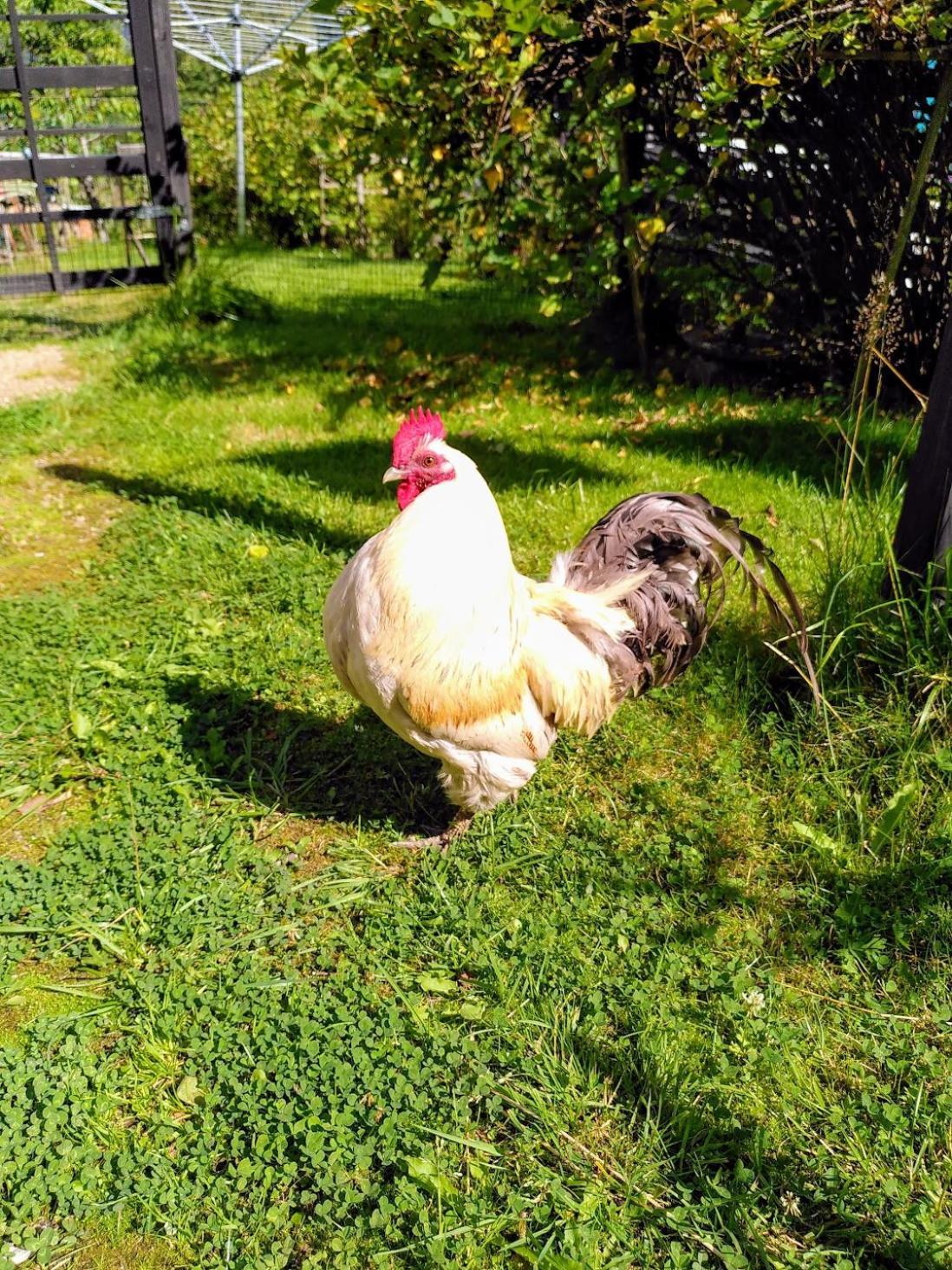 Laegenhet Naturnaera I Henån Kültér fotó